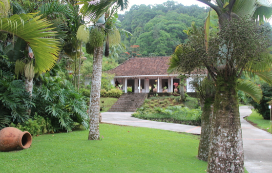 Activité plein air Martinique jardin