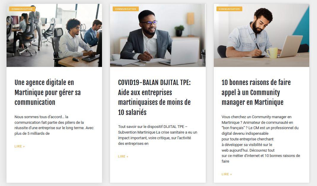 Agence digitale martinique 1