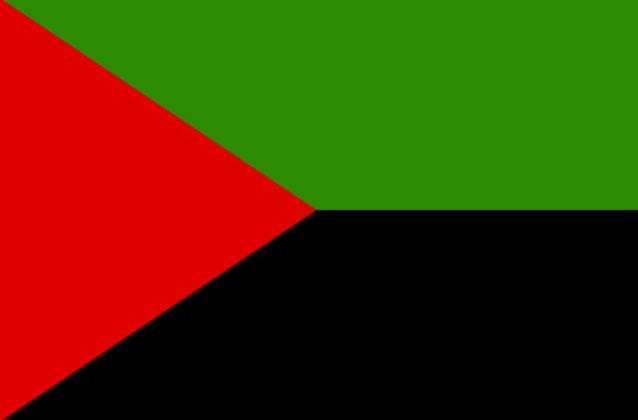 Drapeau martinique nationaliste rouge noir vert