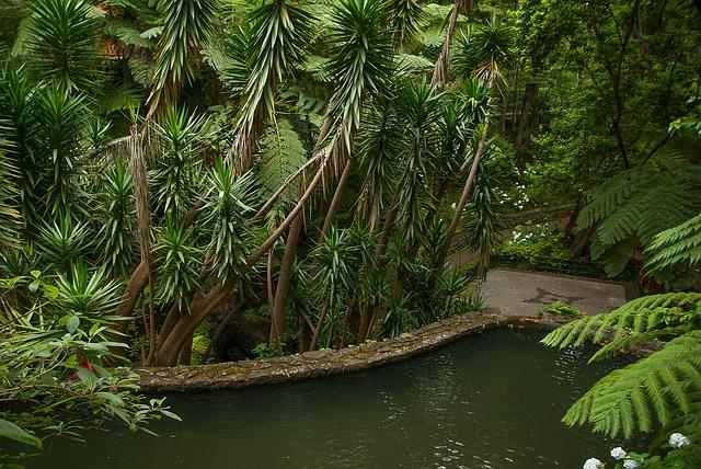 Le jardin de Bel-Air en Martinique