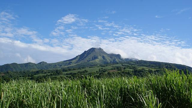 Nature martinique