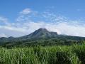 Nature martinique