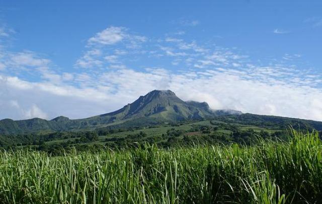 Nature martinique