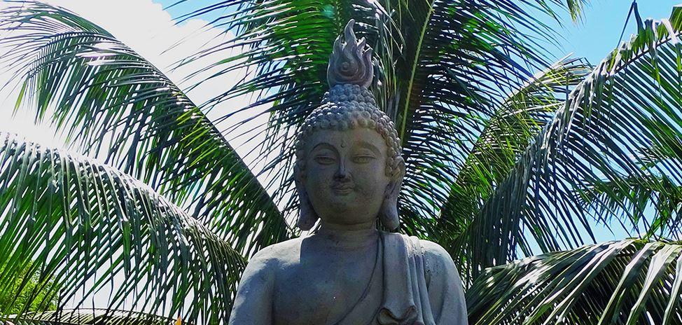 Padma centre de yoga Martinique