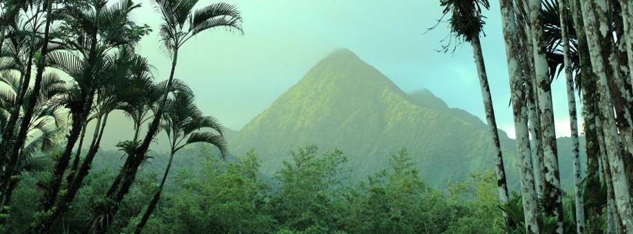 paysage de la martinique