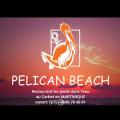 Pelican beach martinique