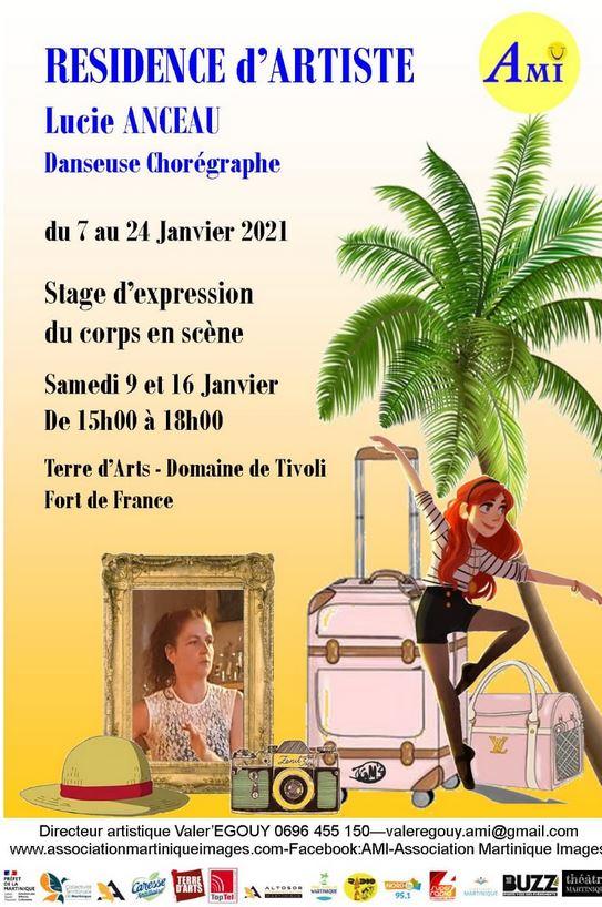 Residence d artiste ami 2021 lucie anceau
