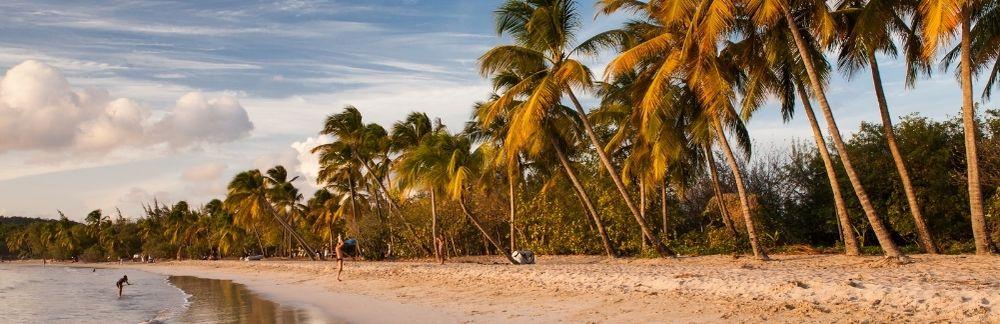 Sante et securite en martinique