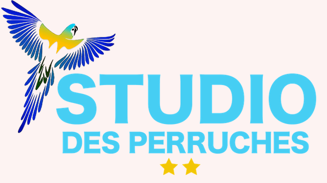 Studio Perruches - Location studio Fort-de-France Martinique