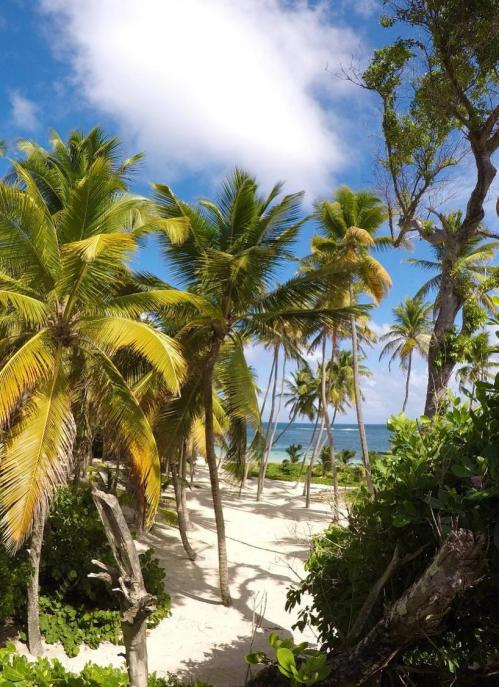 Vol avion pas cher martinique