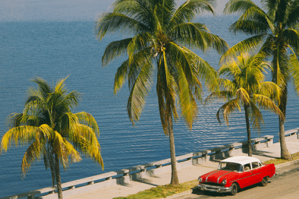 Voyage en martinique organiser son sejour